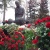 Памятник Аршалуйс сегодня торжественно открыли у «вечного огня»
