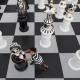 Аргентинская газета: Армения – шахматная сверхдержава