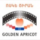 XII кинофестиваль «Золотой абрикос» в 2015 году будет посвящен 100-летию Геноцида армян.