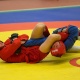 Армянские самбисты завоевали шесть медалей на турнире среди стран ОДКБ