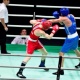 Армянские боксеры завоевали 3 медали на первенстве Европы