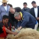 Посол США в Армении попытался постричь овцу