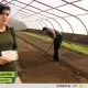 В горах Армении построили теплицу с обогревом энергией солнца. Репортаж «МИР 24»