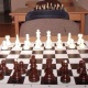 Шахматист Тигран Арутюнян стал 2-м призером на открытом турнире в Испании