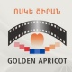 В Ереване стартовал кинофестиваль «Золотой абрикос»
