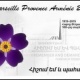 Французский город Марсель провозгласил 2015-ый «Годом Армении»