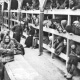 Алла Гербер: Тема Холокоста не может существовать вне темы Геноцида армян