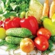 FAO выделит Армении 459 тысяч на развитие овощеводства